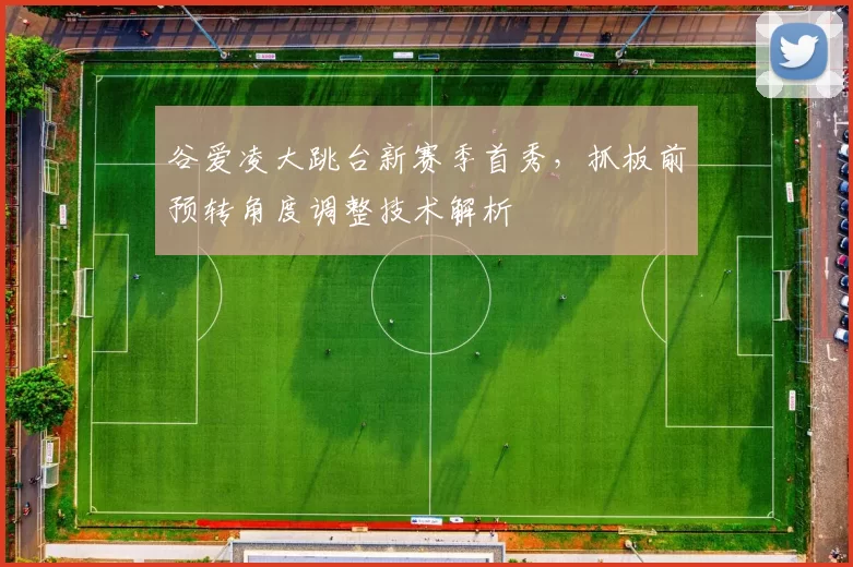 谷爱凌大跳台新赛季首秀,抓板前预转角度调整技术解析