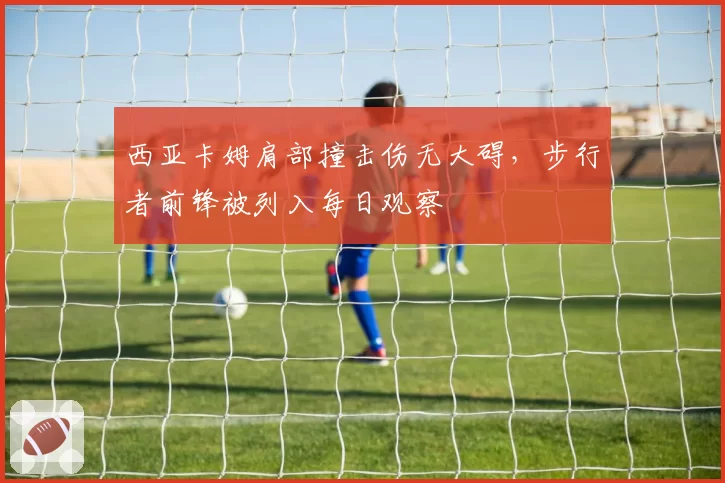 西亚卡姆肩部撞击伤无大碍,步行者前锋被列入每日观察