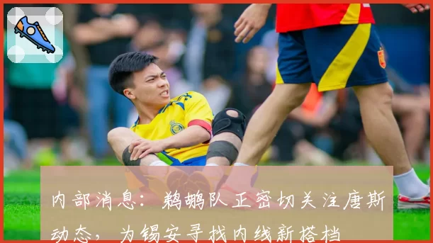 内部消息：鹈鹕队正密切关注唐斯动态，为锡安寻找内线新搭档