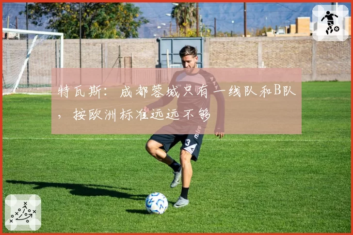 特瓦斯:成都蓉城只有一线队和B队,按欧洲标准远远不够