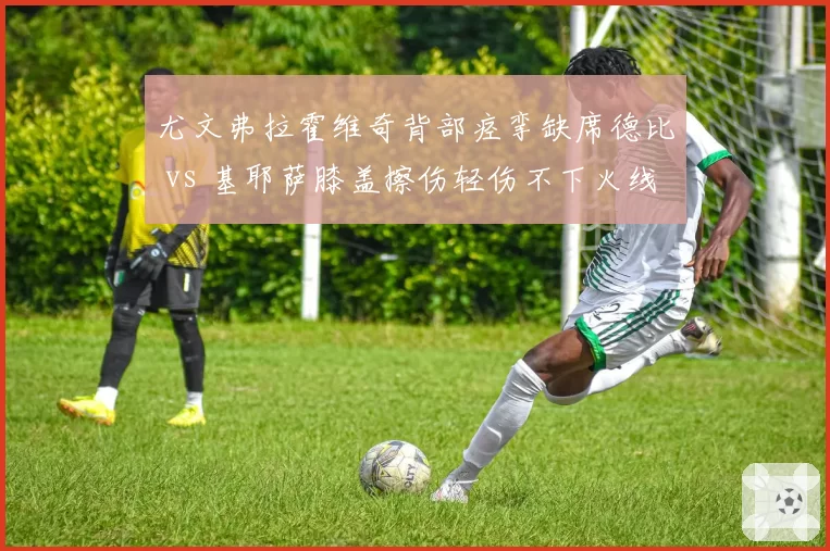 尤文弗拉霍维奇背部痉挛缺席德比 vs 基耶萨膝盖擦伤轻伤不下火线，斑马军团锋线伤病应对方式对立