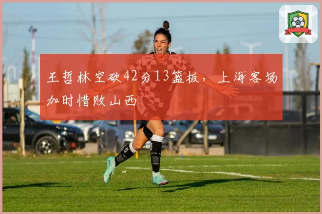 王哲林空砍42分13篮板,上海客场加时惜败山西