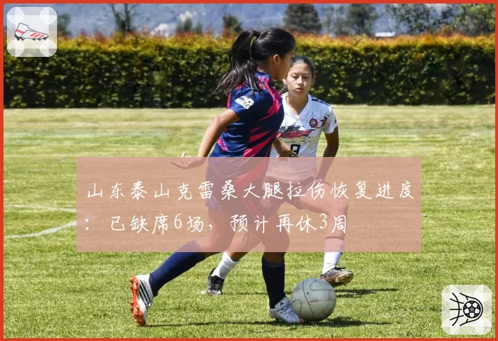 山东泰山克雷桑大腿拉伤恢复进度:已缺席6场,预计再休3周